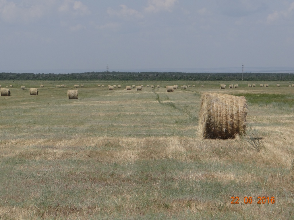 DSC01875.JPG
