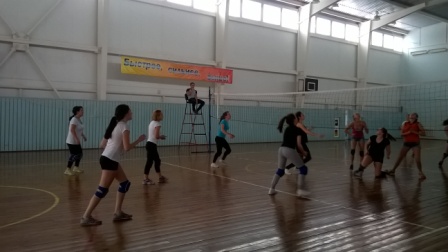 WP_20170105_12_08_21_Pro.jpg