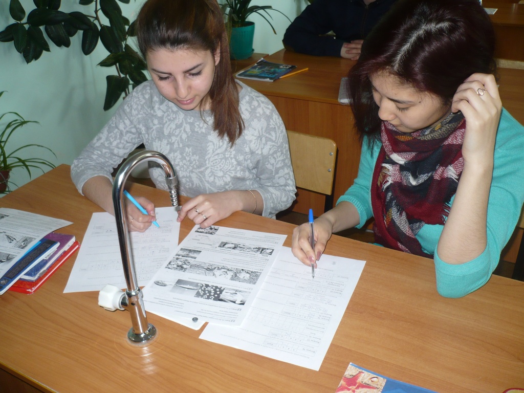 P1120347.JPG