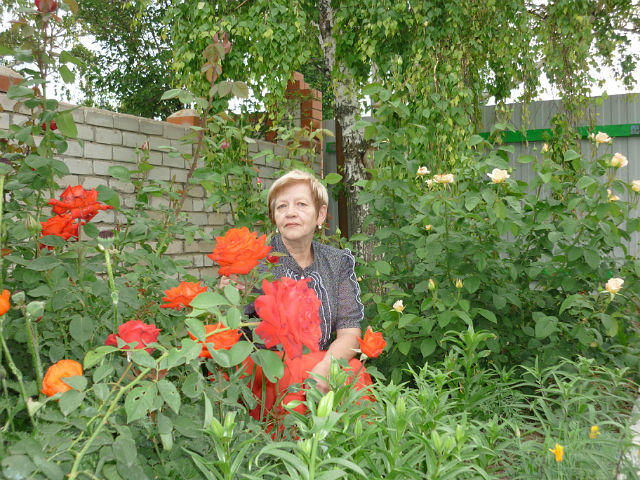 роза8.jpg роза8.jpg