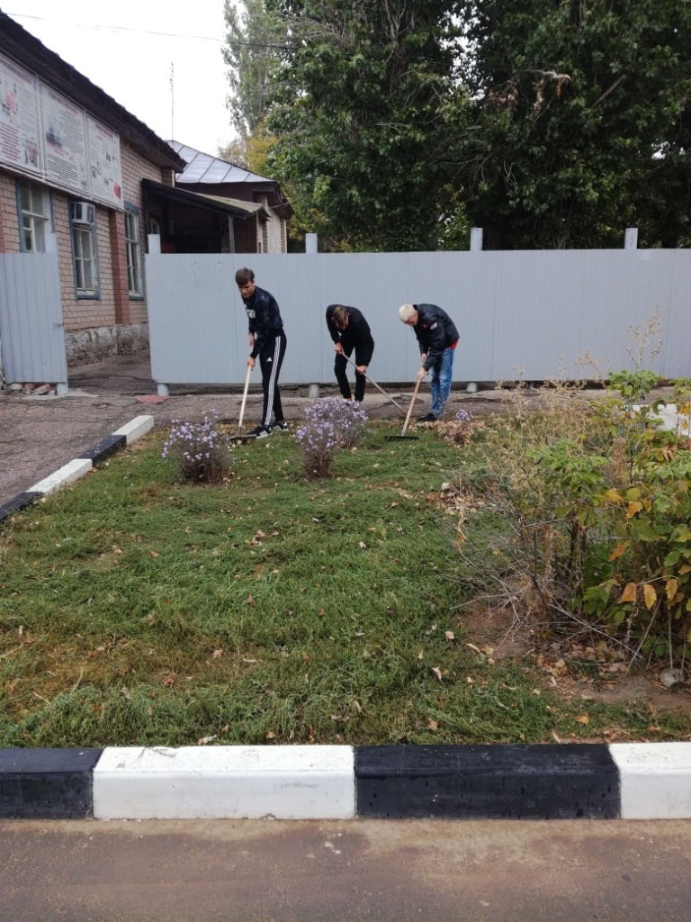 IMG_20190917_114611.jpg
