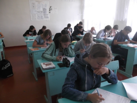 obr_548.jpg