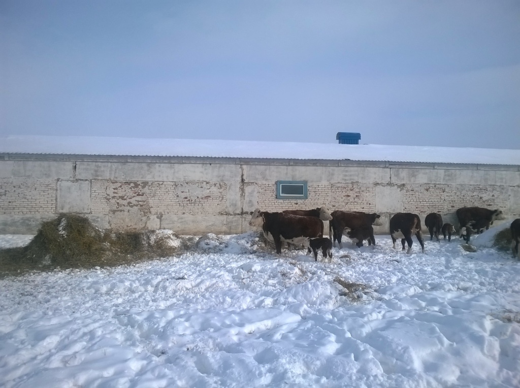 WP_20180201_009.jpg