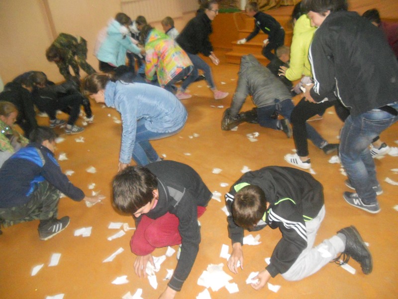 5.jpg 5.jpg