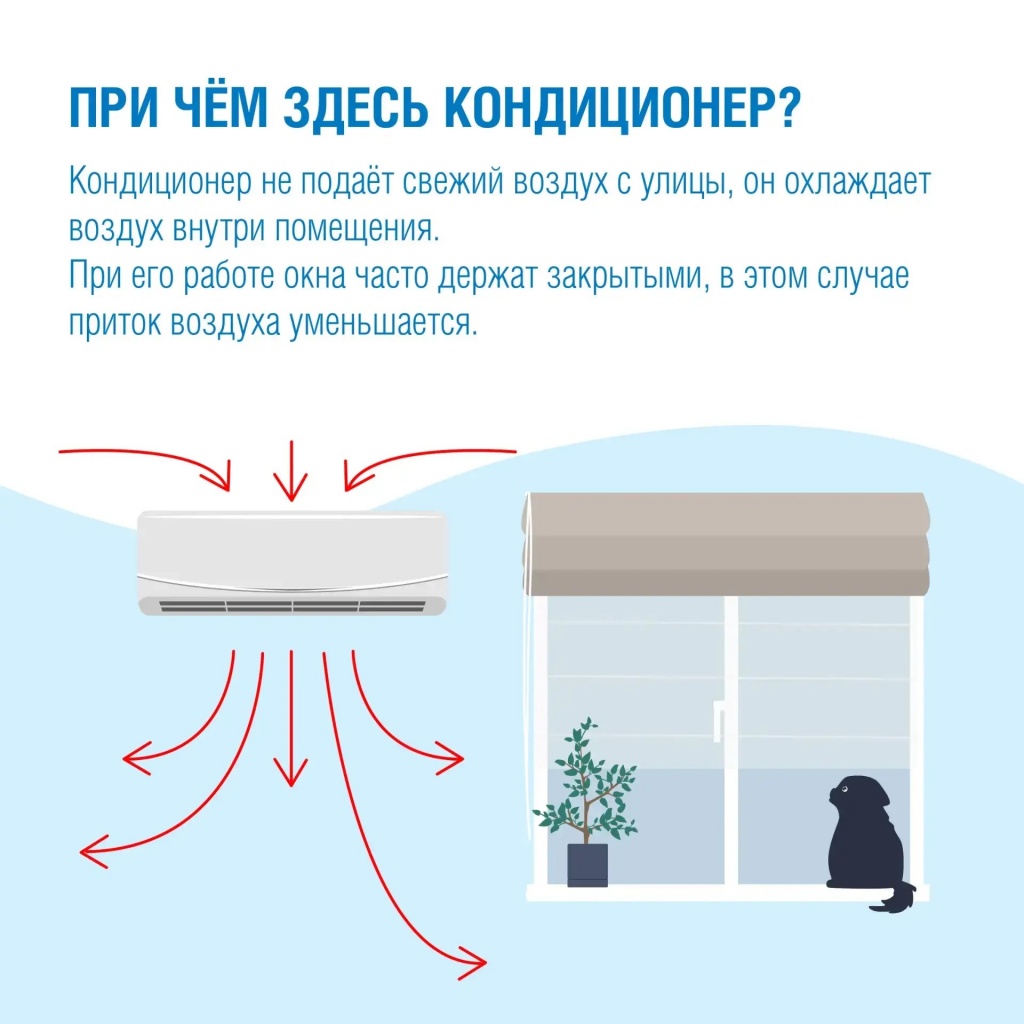 6852cc46-9e3b-45f7-88d4-9c5997e97b8a.jpg