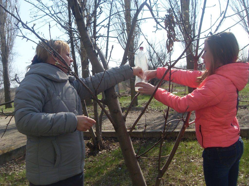 SDC14529.JPG