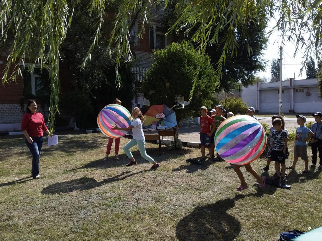 image-2019-07-24 12_03_40.jpg
