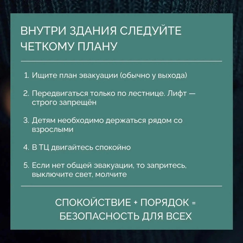 e8a30618-869e-42d4-88e8-adc641d766b2.jpg