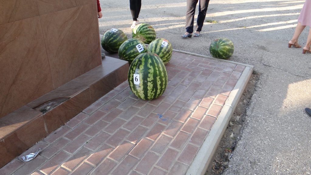 DSC00005.JPG