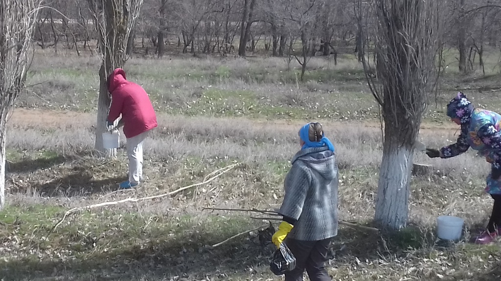 20180424_141456.jpg