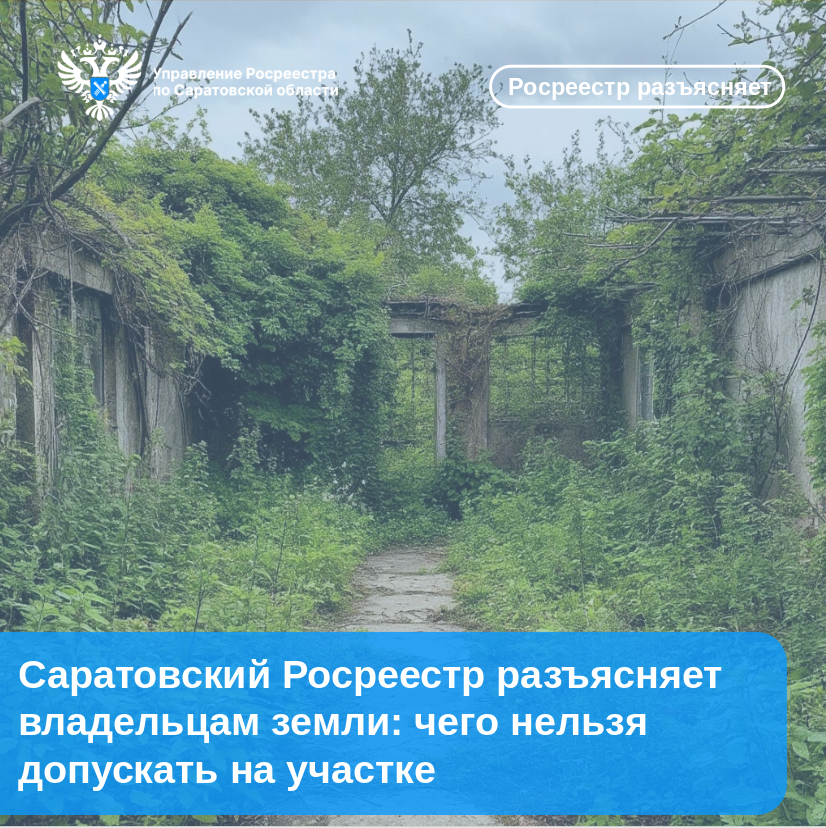 18.06.2026 картинка.png 18.06.2026 картинка.png