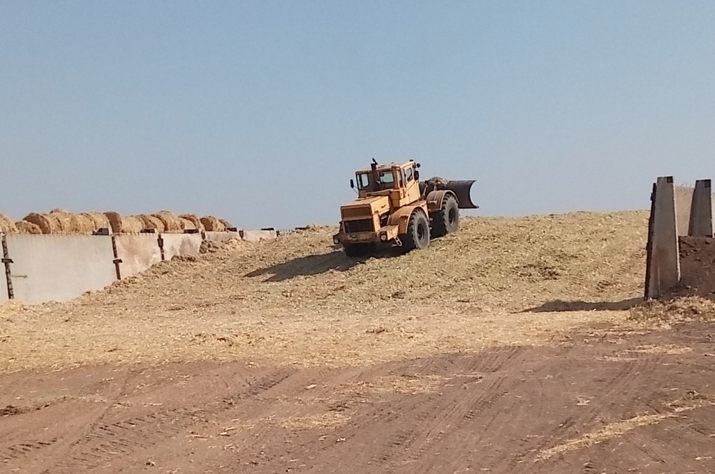 P90907-111821.jpg
