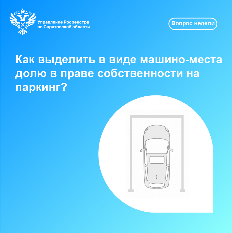 12.12.2024 картинка.png