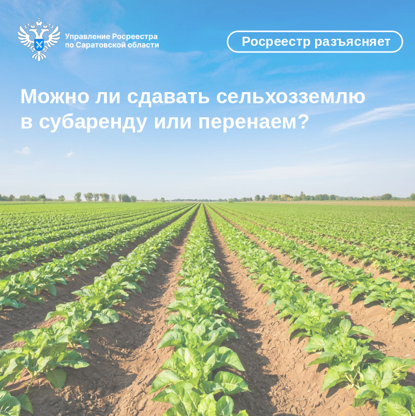 22.09.2025_картинка.png