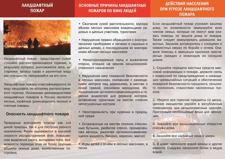 pamyatka landshaftny'j pozhar 2.jpg