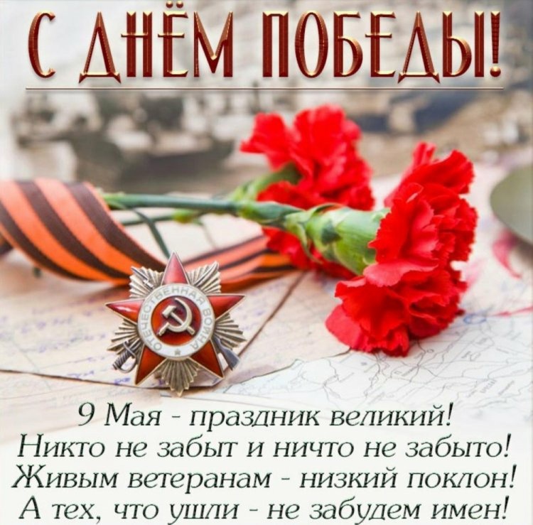 245458iKuzM.jpg
